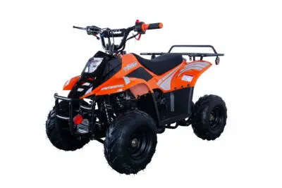 Trailmaster Mini Sport Atv 110, Gas Engine With Remote Start/Kill, Speed Governor, 6-Inch Wheels 11