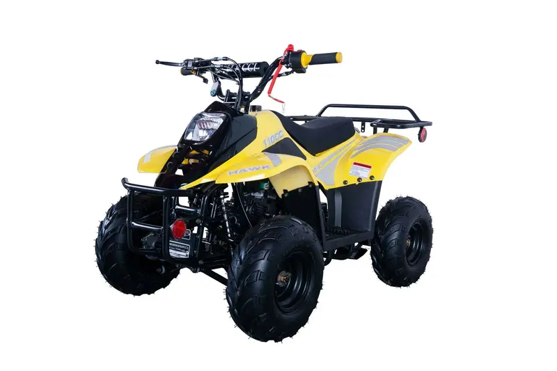 Trailmaster Mini Sport Atv 110, Gas Engine With Remote Start/Kill, Speed Governor, 6-Inch Wheels 12