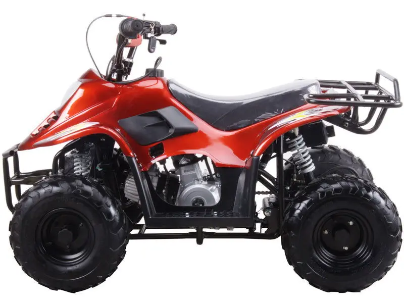 Trailmaster Mini Sport Atv 110, Gas Engine With Remote Start/Kill, Speed Governor, 6-Inch Wheels 2