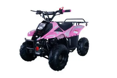 Trailmaster Mini Sport Atv 110, Gas Engine With Remote Start/Kill, Speed Governor, 6-Inch Wheels 4