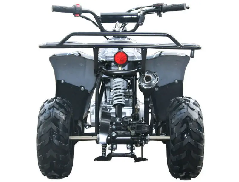 Trailmaster Mini Sport Atv 110, Gas Engine With Remote Start/Kill, Speed Governor, 6-Inch Wheels 6