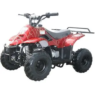 Trailmaster Mini Sport Atv 110, Gas Engine With Remote Start/Kill, Speed Governor, 6-Inch Wheels 7