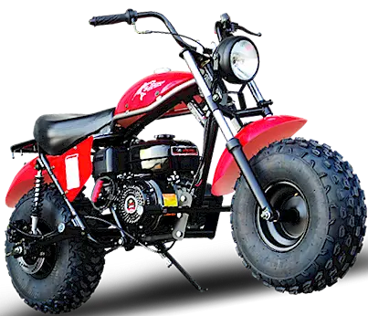 Trailmaster Monster Dog Ii Mini Bike, 196Cc 6.5Hp With Torque Converter, Rear Hydraulic Disc Brake 3