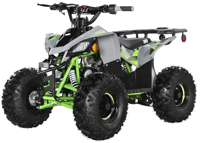 Trailmaster R125 125Cc Sport Atv, Automatic With Reverse, 7-Inch Wheels, Ages 9-12 1