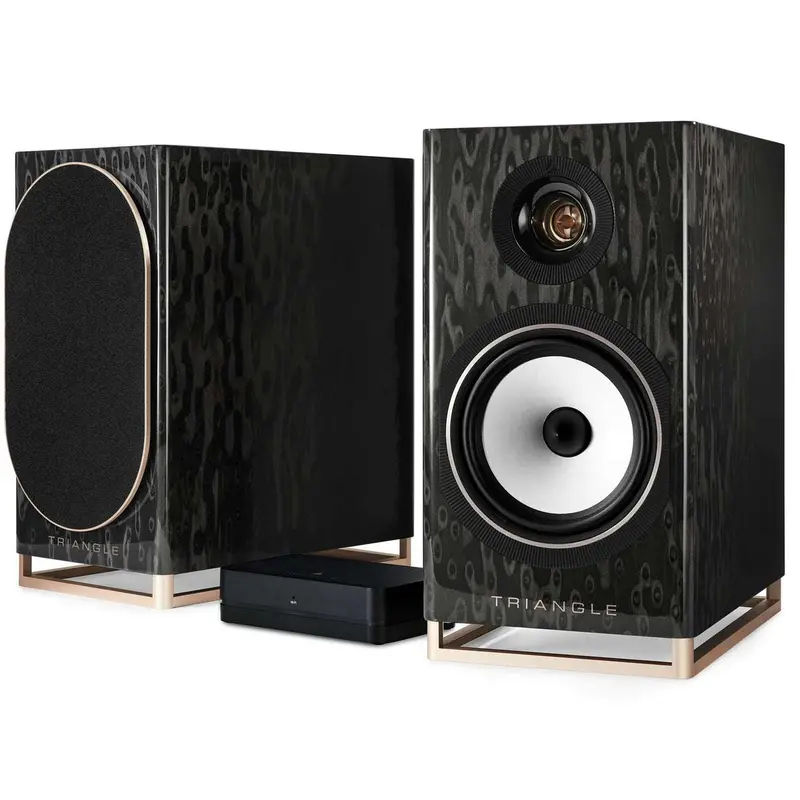 Triangle Capella Wireless Bluetooth Wifi Speaker (Available To Demo) 1