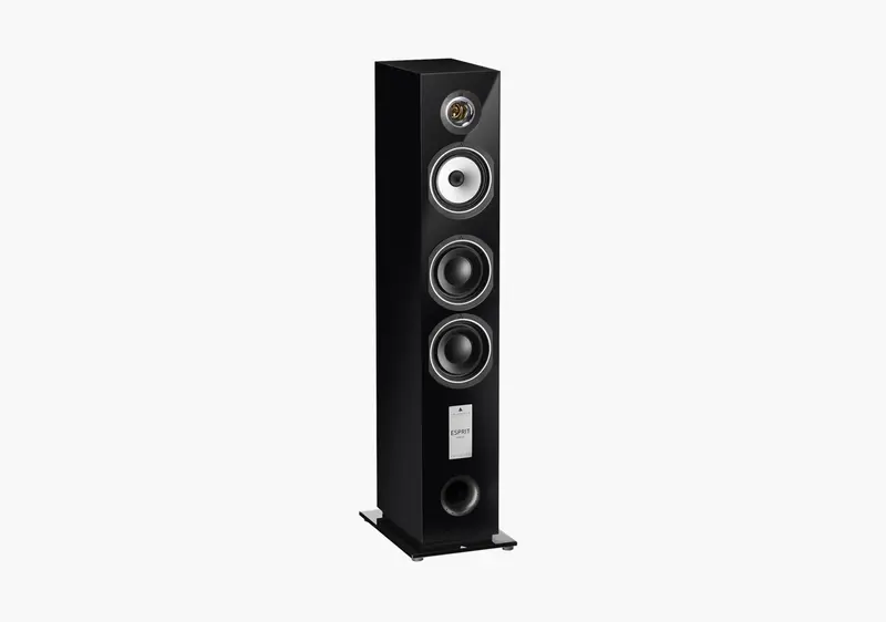 Triangle Gaia Ez Floorstanding Loudspeakers (Each) (Available To Demo) (Stock Sale) 1