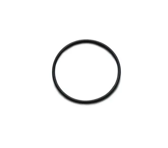 Vibrant Performance Replacement O-Rings 1