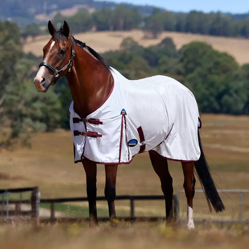 Weatherbeeta Comfitec Essential Fly Sheet- Burgundy/White 1