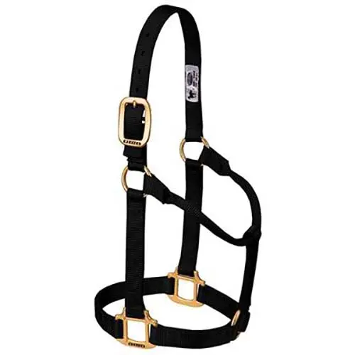 Weaver Leather Black Non-Adjustable Nylon Halter 1"- Small Horse 1
