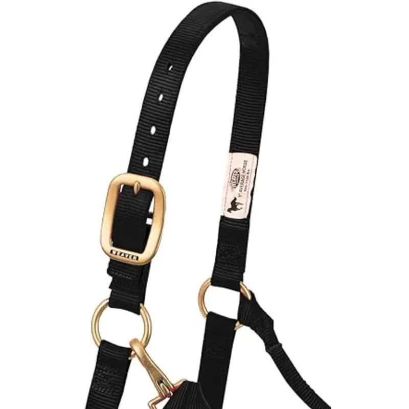 Weaver Leather Black Non-Adjustable Nylon Halter 1"- Small Horse 2