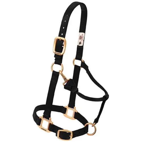 Weaver Leather Black Nylon Foal Halter 1