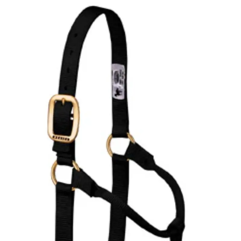 Weaver Leather Large Nylon Horse Halter 2