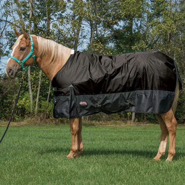 Weaver Leather Light/Medium Weight Economy Turnout Blanket- Black 1