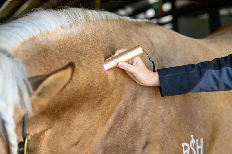Xlr8 Equine Redline Ignite Handheld Therapy Light 2