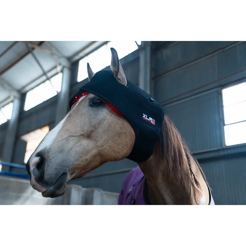 Xlr8 Equine Redline Poll/Neck Wrap 1