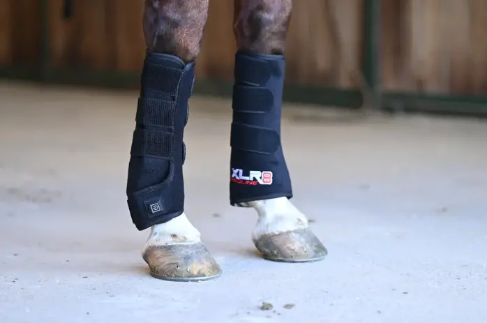 Xlr8 Equine Redline Tendon Wraps 1