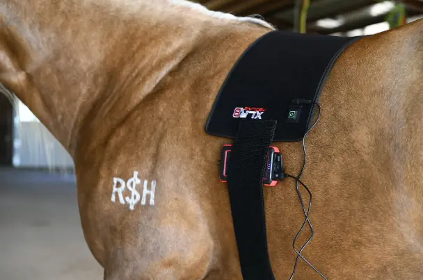 Xlr8 Equine Redline Versawrap 1