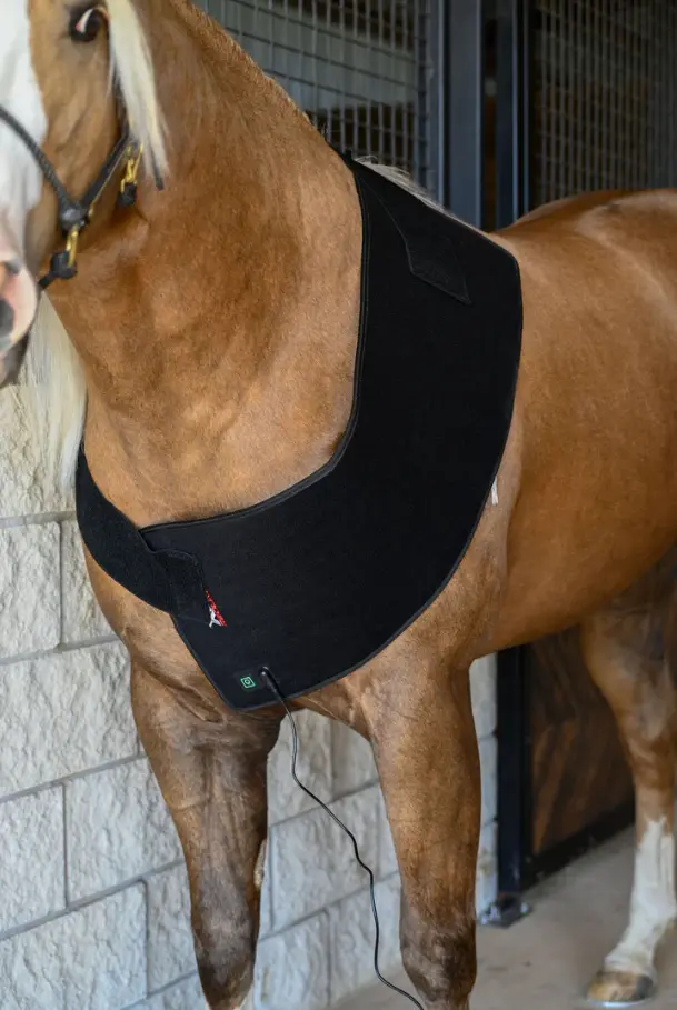 Xlr8 Equine Redline Versawrap 2