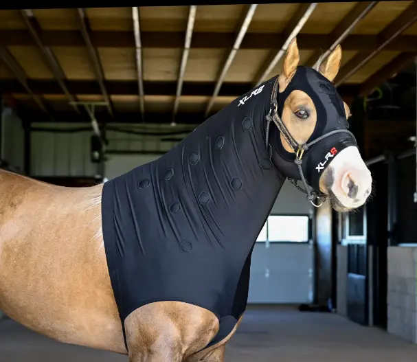Xlr8 Equine Velocity Hood 1